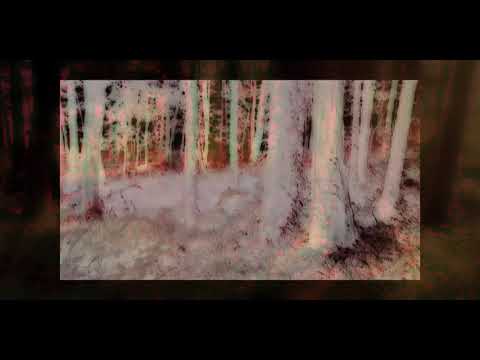 Tusk Virtual 2020 - Eiko Ishibashi & Jim O'Rourke