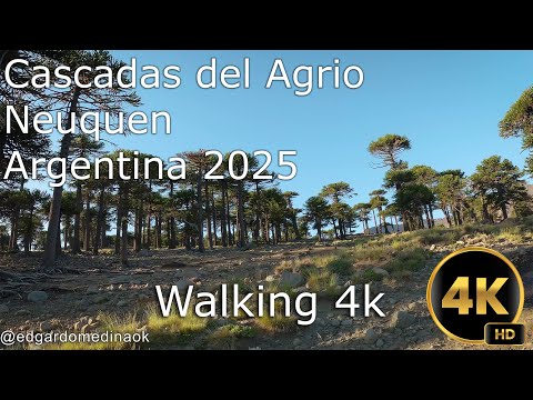 Hiking - Cascadas del Agrio Neuquen Argentina 2025 (Walking 4k)