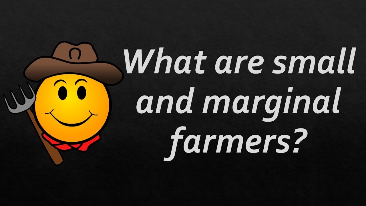 Should you wallpaper opposite walls? Wiki REF