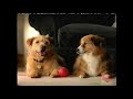 Lady And The Tramp DVD Television Commercial 2006 Walt Disney Home Video