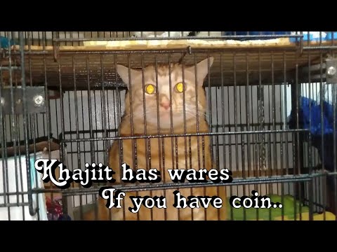 Cat Invades Ferret Soil