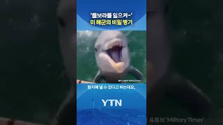 돌고래의 후덜덜한 실력 #shorts / YTN