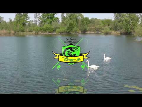 Ponty telepítés az Alsószemenyei Öreg-tavon