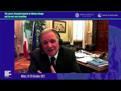 The macro-financial impacts of climate change and the net-zero transition - Session 4