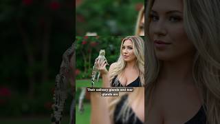 Crocodile Tears EXPLAINED! Why They Cry While Eating! 🐊😱