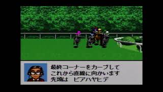 【改】ダービースタリオン96 × ウイニングポスト有名馬 パスワード
