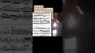 Download lagu ロマン派の中で最長・最難関の🎻協奏曲 Elgar: Violin Concerto 3mvt. Cadenza #violin #violinist #ショート #shorts #concerto mp3