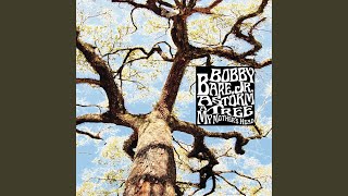 A Storm - a Tree - My Mother&#39;s Head