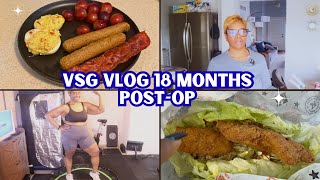 VSG 18 Months Post-Op Update | What I Eat in a Day | Bra Shopping | BCAN Trampoline Workout