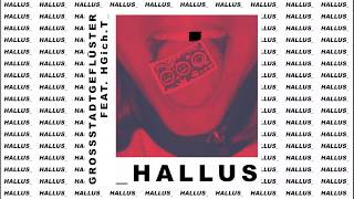 Hallus Music Video