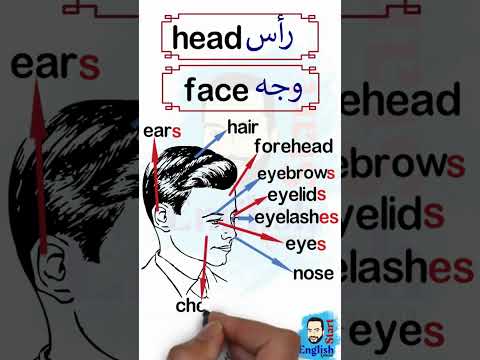 اجزاء الوجه بالانجليزي والعربي