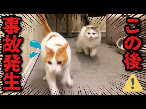 この後、師匠に大変なことが起きました…！💦💦💦