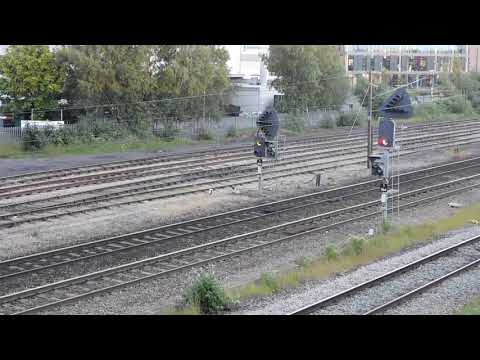 56302 & 66037 At Darlington - 6E36 Millerhill S.S. to Doncaster Up Decoy 22/06/20