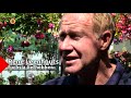 Fuchsia liefhebber René kan en wil niet op vakantie door en voor zijn fuchsia’s