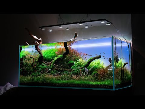 PODŚWIETL SWOJE AKWARIUM - LIGHTGROUND RGB trailer