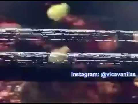 Co - Co - Ua A Turma do Balão Mágico