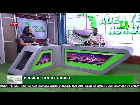 ADEKYE NSROMA 13/10/26