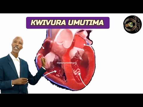 KWIVURA INDWARA Y'Umutima by NZUNGU