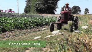 Introduction to OMRI