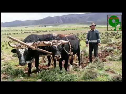 PASANAKU, Letra y Música: Oscar Velarde (Genero: Folklórico)