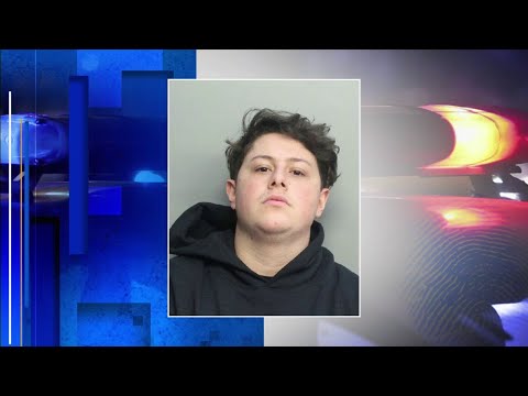 Social media influencer faces charges after...