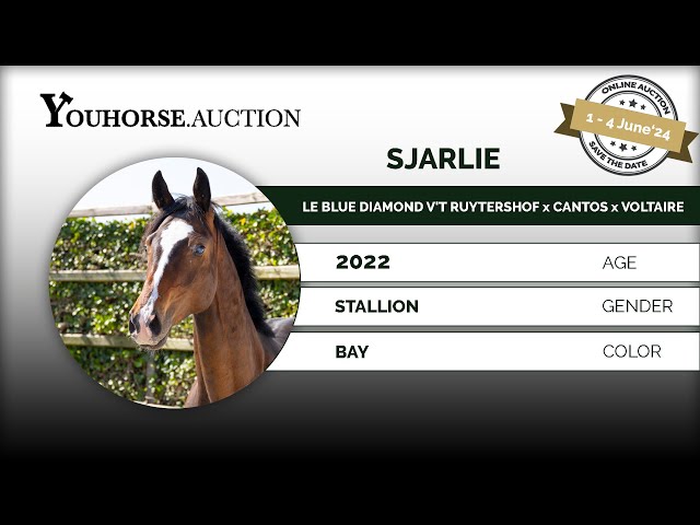 Sjarlie