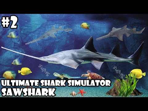 Ultimate Shark Simulator -Family Sawshark- Android/iOS - Gameplay Part 2 - YouTube