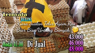 Download lagu Tips Jualan Telur Ayam Ras, Agar Dapat Untung Banyak | Di Jamin Pasti Untung mp3