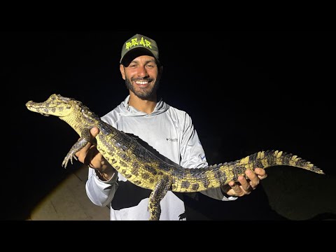 Deep In The PANTANAL Catching WildLife + JAGUARS! 