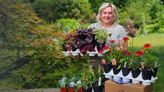 A First Look at Some Exciting New Plants