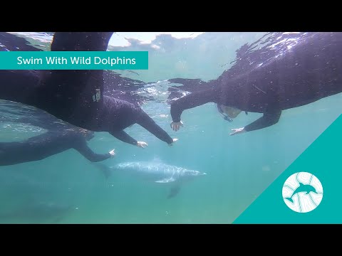 Dolphin Discovery Centre Bunbury