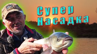 Приманка для поплавочной удочки