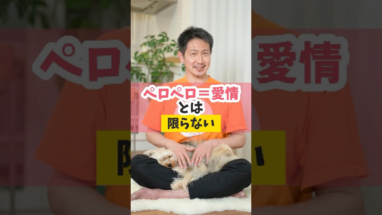 ペロペロは止める派？止めない派？#犬のいる暮らし #dog #愛犬