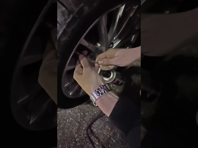 فلامنجو مانع بنشر