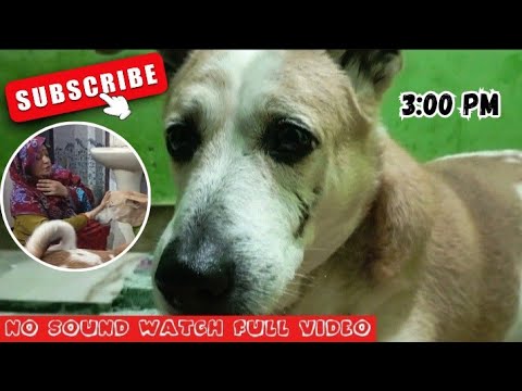 Der raat sheru karta kiya hain pata chal gaya😅..#shortvideo #yt  | savitrivlog