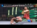 WWE Smackdown VS Raw Finishers 