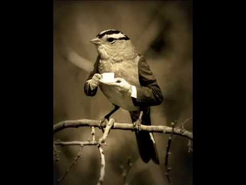 E-Mov vs.Conwerter - The Listener