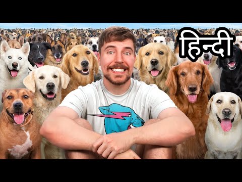 I Adopted 100 Dogs | MrBeast Hindi