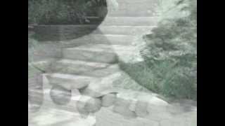 VORREI - (Francesco Guccini) con testo