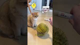 This Owner Turned Cat Fur into Cute Creations! 😺✨🧶#shorts