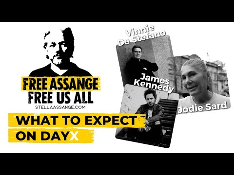 What to Expect on 20-21 Feb. Julian Assange New Public Hearing.