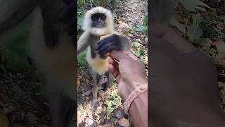 Raghupati Raghav Raja Ram 🫀🫀🫀🫀🫀🫀🫀🫀🫀🫀🫀🫀🫀🫀🫀🫀🫀🫀🫀🫀🫀🫀🫀🫀🫀🫀🫀🫀🫀🫀🫀🫀