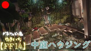 【FF14】池がある中庭に挑戦【manaDC】617