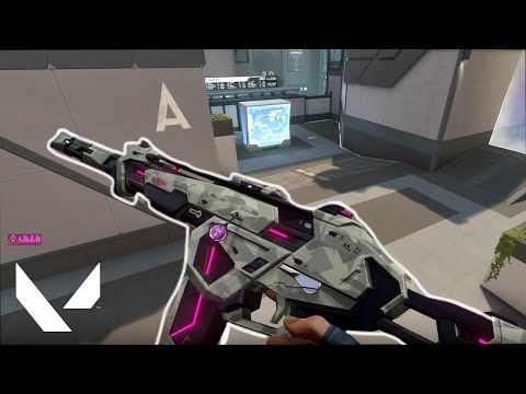 The *NEW* Protocol Skin is INSANE!