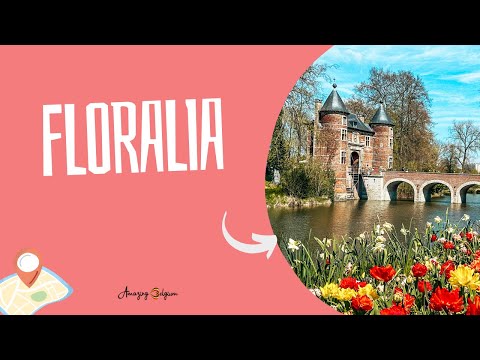 Jaw-Dropping Floral Displays at Floralia: Prepare to Be Amazed!