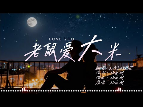 KAI - 老鼠愛大米 『我愛你 愛著你 就像老鼠愛大米 不管有多少風雨 我都會依然陪著你  』〔男女合唱R&B版〕〔高音質動態歌詞〕