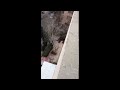 Cat falls from three-story building - Why did he leap? || ViralHog