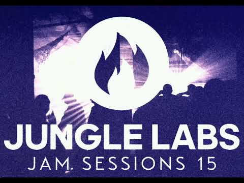 🔥 Jungle Mix | New & Classic Jungle Bangers Jungle Labs Jam Sessions #15