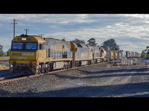 2 Sprinters and 3SM2 Superfreighter at Beveridge