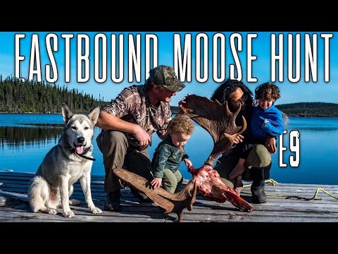 We Did a Fly-In Moose Hunt in Newfoundland | Eastbound Overland - E.9 - Off-Grid Cabin & Floatplane